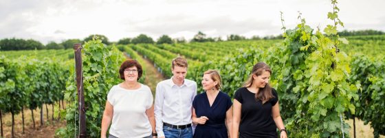 Østrigsk vin oplever stor interesse internationalt